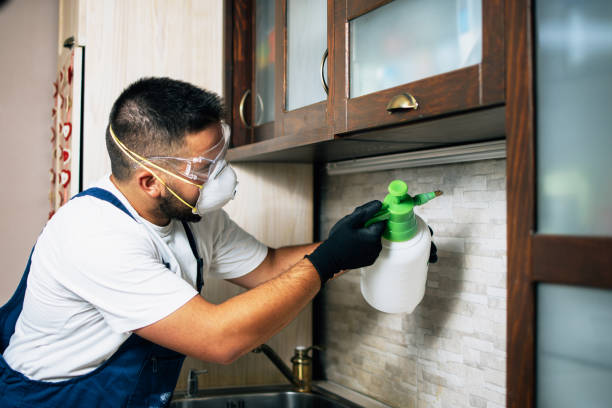 Best Mosquito Control Services  in Roanoke, IN