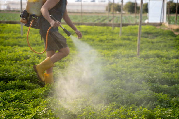 Best Pest Control for Restaurants  in Roanoke, IN
