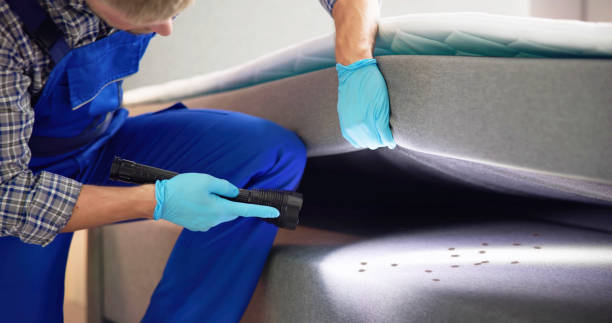 Best Pest Inspection Near Me  in Roanoke, IN