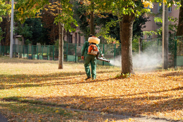 Best Pest Control Near Me in Roanoke, IN