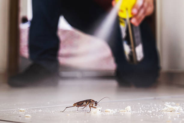 Best Affordable Pest Control Services  in Roanoke, IN