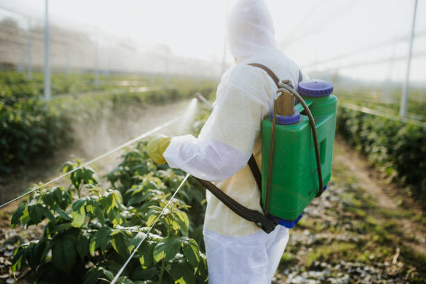 Best Termite Control Services  in Roanoke, IN
